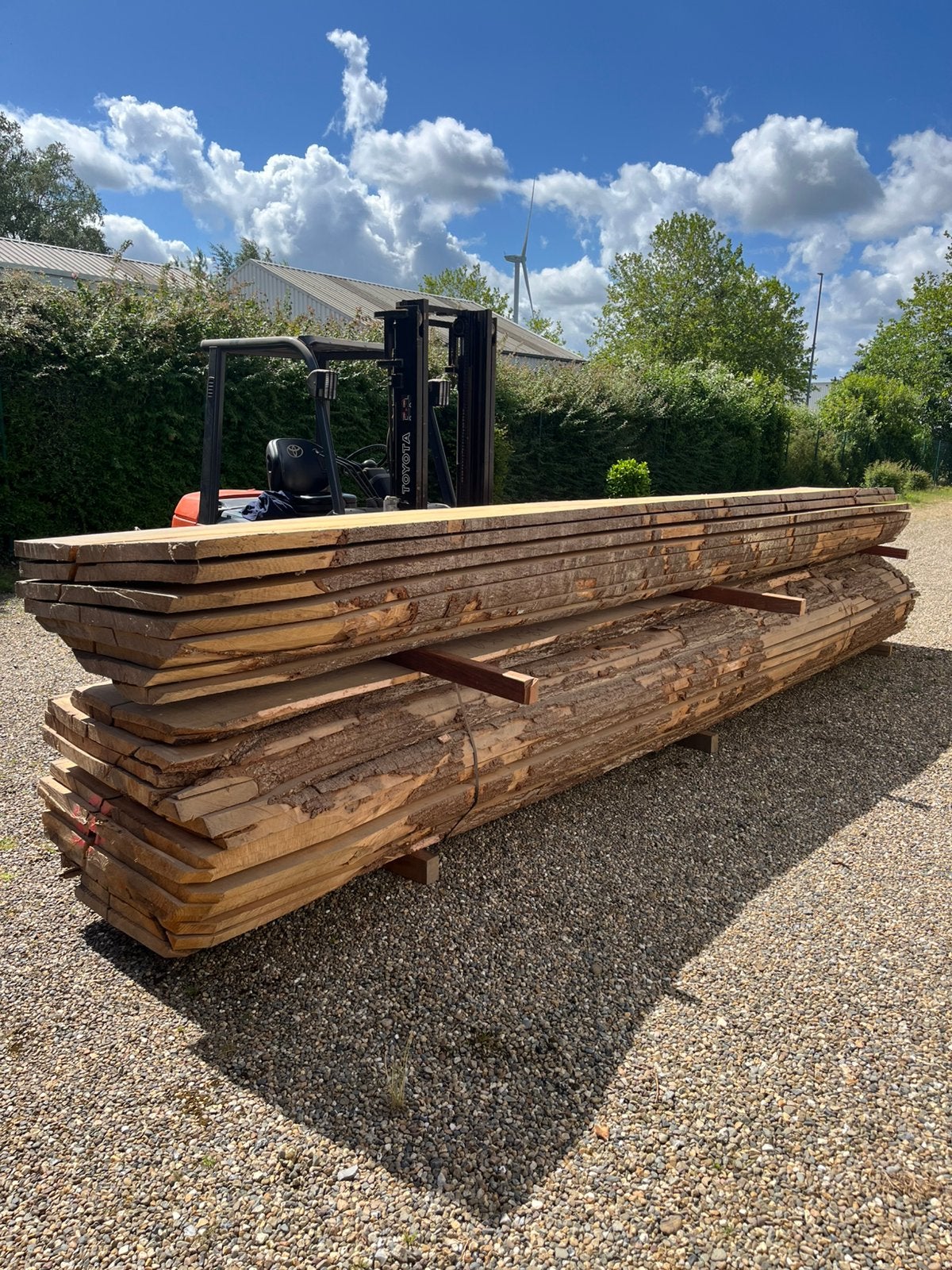 Boomstam Massief Beuken Hout, Ophalen, Zo goed als nieuw