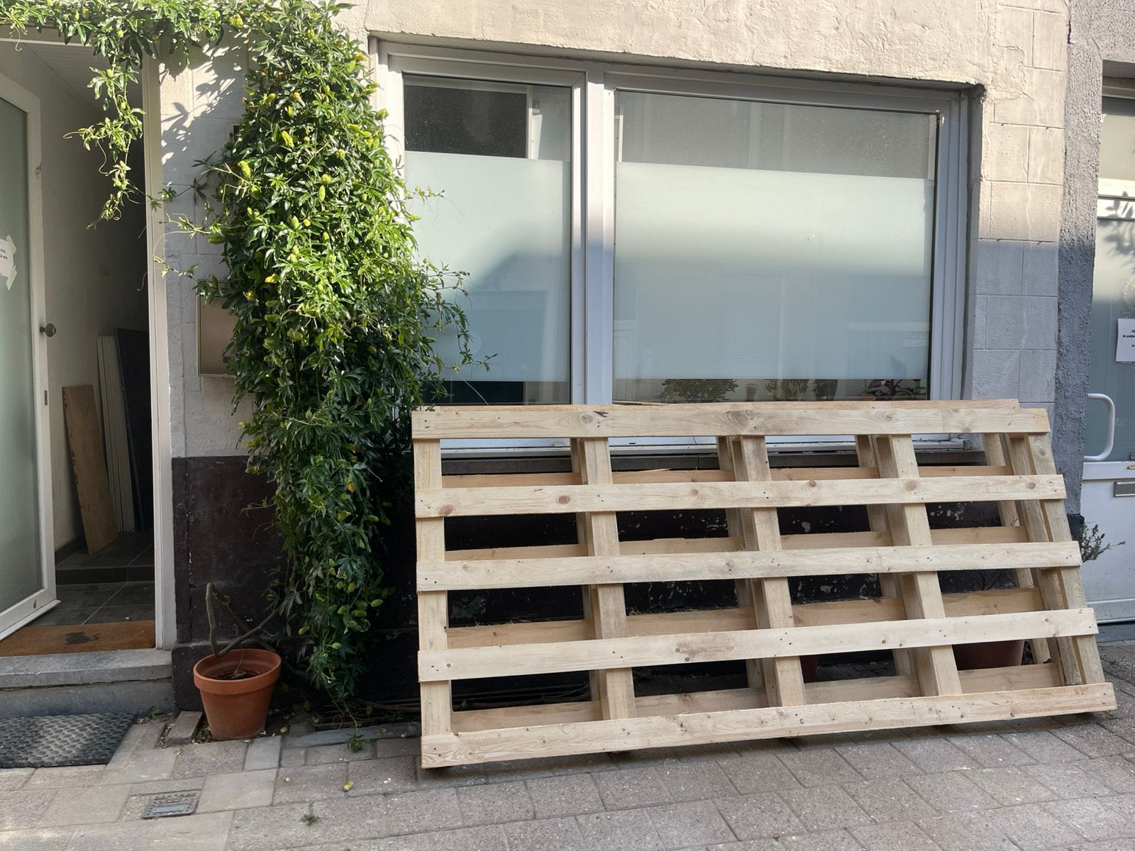 GRATIS 2 grote pallets (2,60 x 1,20m), Ophalen, Zo goed als nieuw
