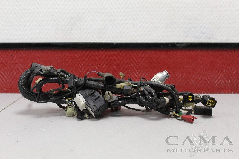 FAISCEAU DE CÂBLAGE DIVERS ER-5 2001-2005 (ER5 ER500C-D), Dhr. S. di Majo, Utilisé, Info@cama-motorparts.nl, P.J. Troelstraweg 8 8
3144 CX  MAASSLUIS, NL