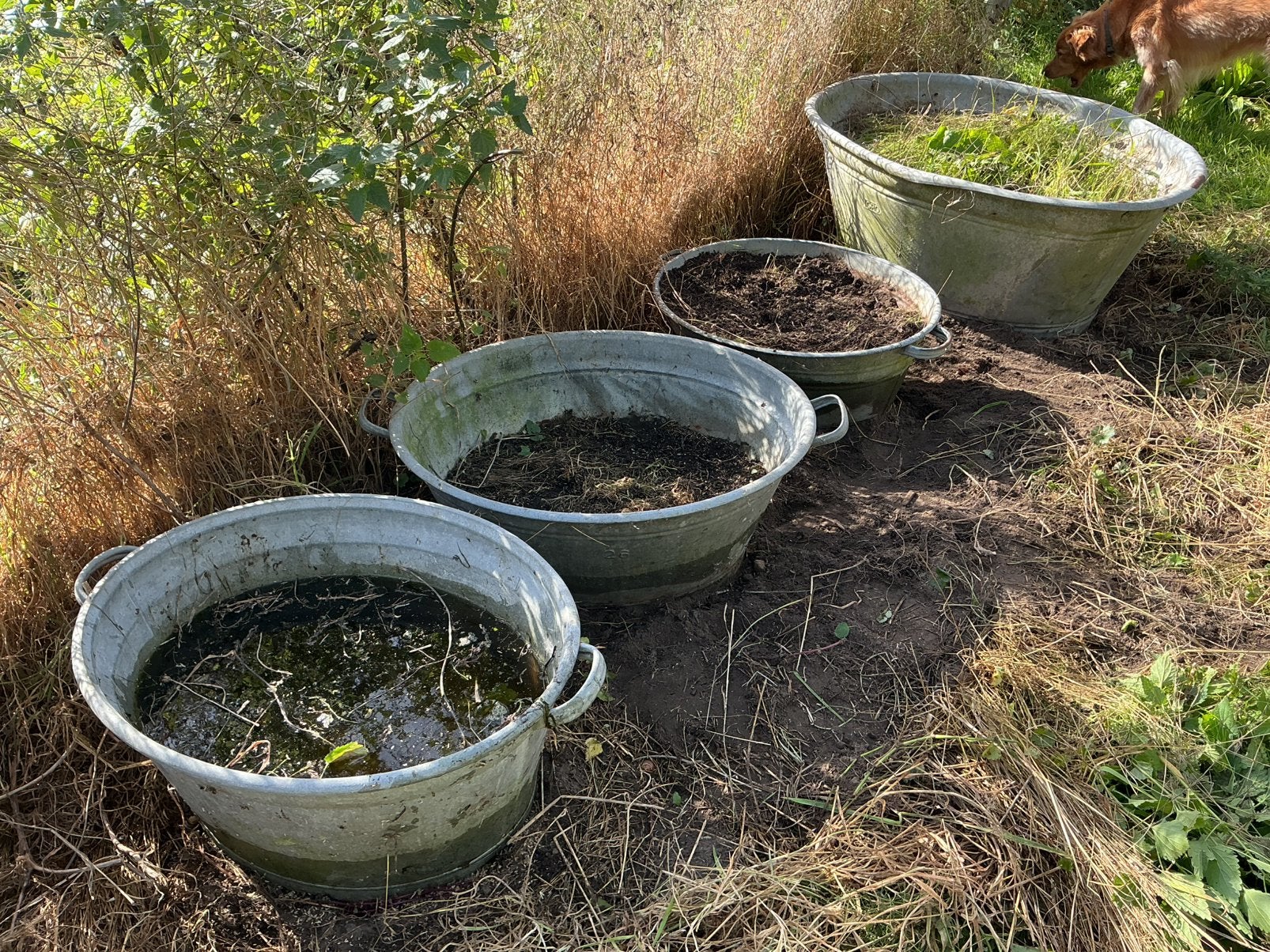 4 zinken teilen, Tuin en Terras, Ophalen, Gebruikt