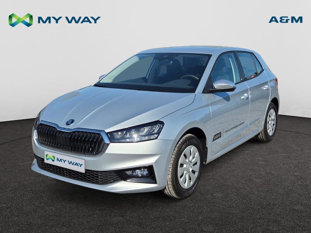 Skoda Fabia Fabia 1.0 TSI Family, Auto's, Skoda, https://public.car-pass.be/vhr/6a8bb286-f727-462f-a6dd-6c32f73c46d4, Airbags