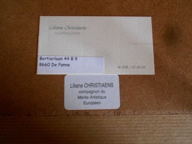 liliane christiaens, pastel, Antiek en Kunst, Kunst | Overige Kunst, Ophalen of Verzenden