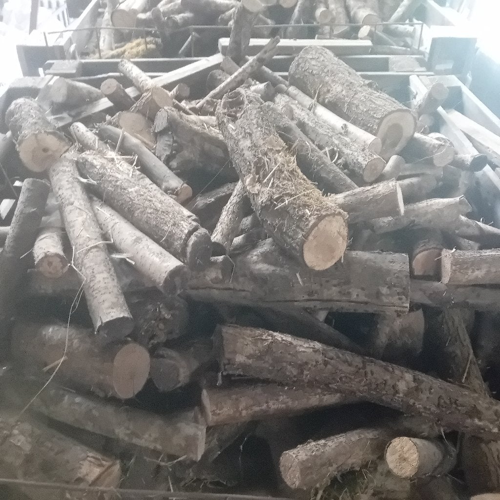 Bois de chauffage sec, Moins de 3 m³, Enlèvement, Autres essences de bois, Bûches
