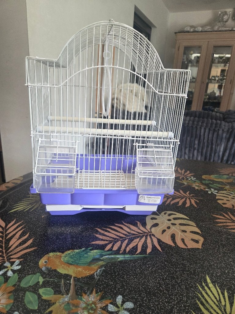Cage à oiseau, Enlèvement