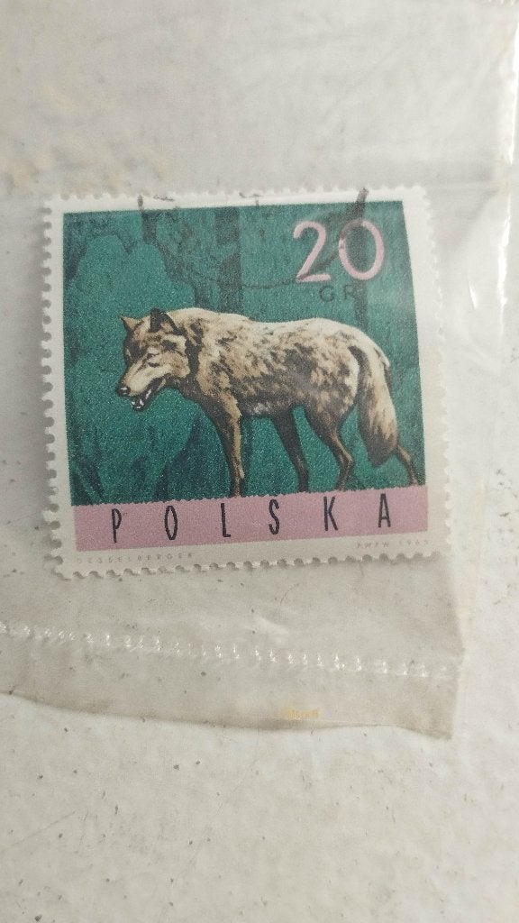 Timbre Pologne Polska 1965 20 GR Desselberger LOUP ANIMAL, Envoi, Pologne, Affranchi