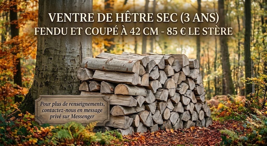 Bois de chauffage, 6 m³ of meer, Ophalen of Verzenden, Beukenhout, Blokken
