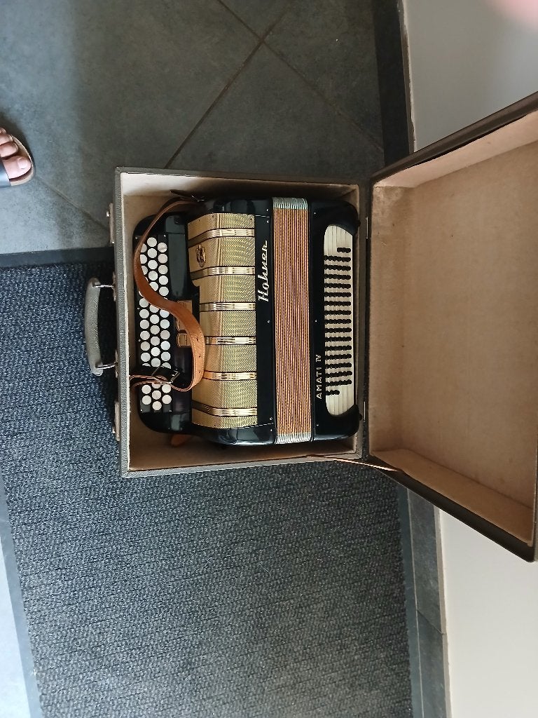 Accordeon Holner en tres bon etat ds son etui, Musique & Instruments, Accordéons, Enlèvement, Comme neuf, Hohner, Avec bretelles