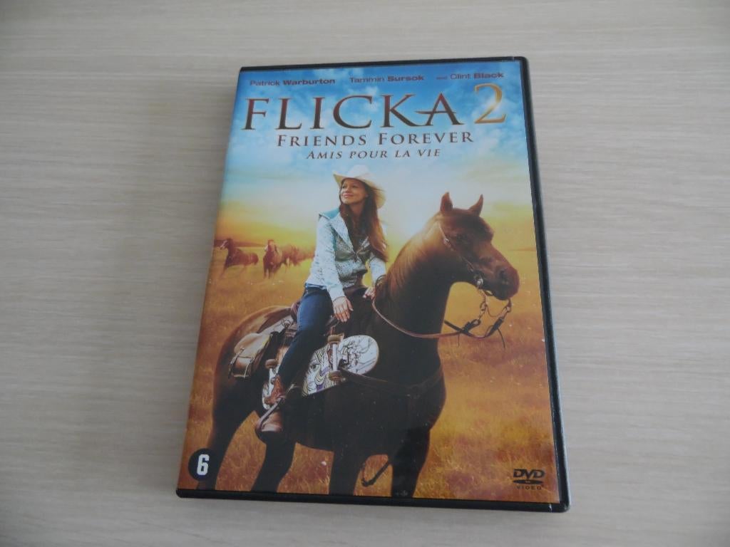 FLICKA 2 VRIENDEN VOOR HET LEVEN, Cd's en Dvd's, Vanaf 6 jaar, Ophalen of Verzenden, Zo goed als nieuw