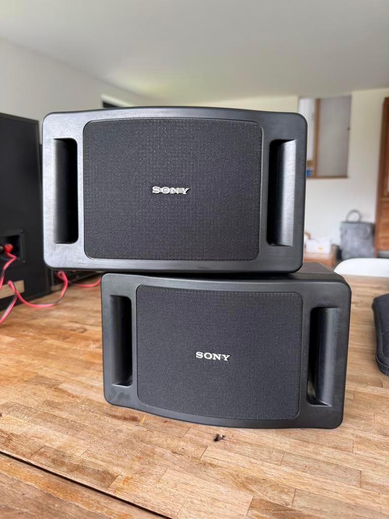 Enceintes speakers Sony SS-V99AV, Enlèvement, Utilisé, Sony