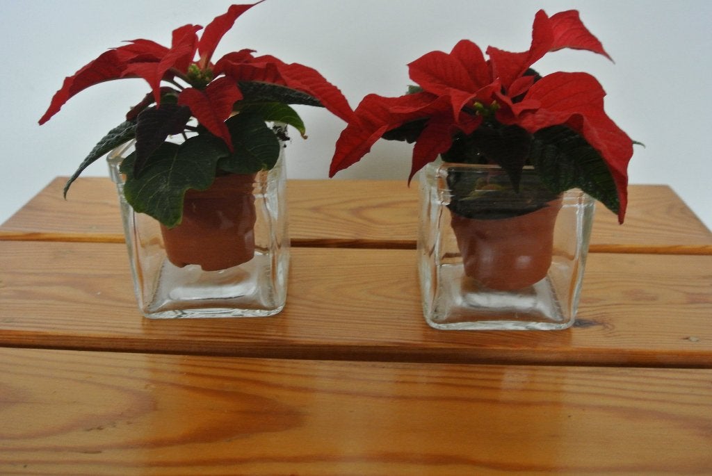 2 vierkante glazen cache-pots, Enlèvement ou Envoi, Moins de 25 cm, Autres matériaux, Moins de 40 cm