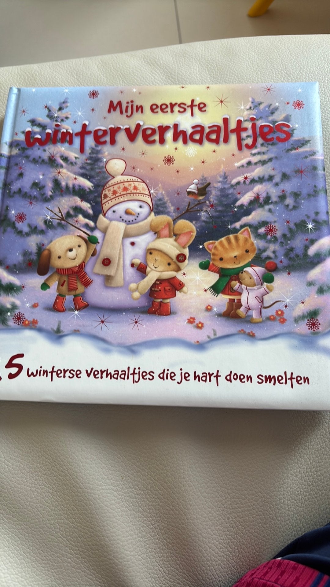 Xanna Chown - Mijn eerste winterverhaaltjes, Ophalen of Verzenden, Xanna Chown