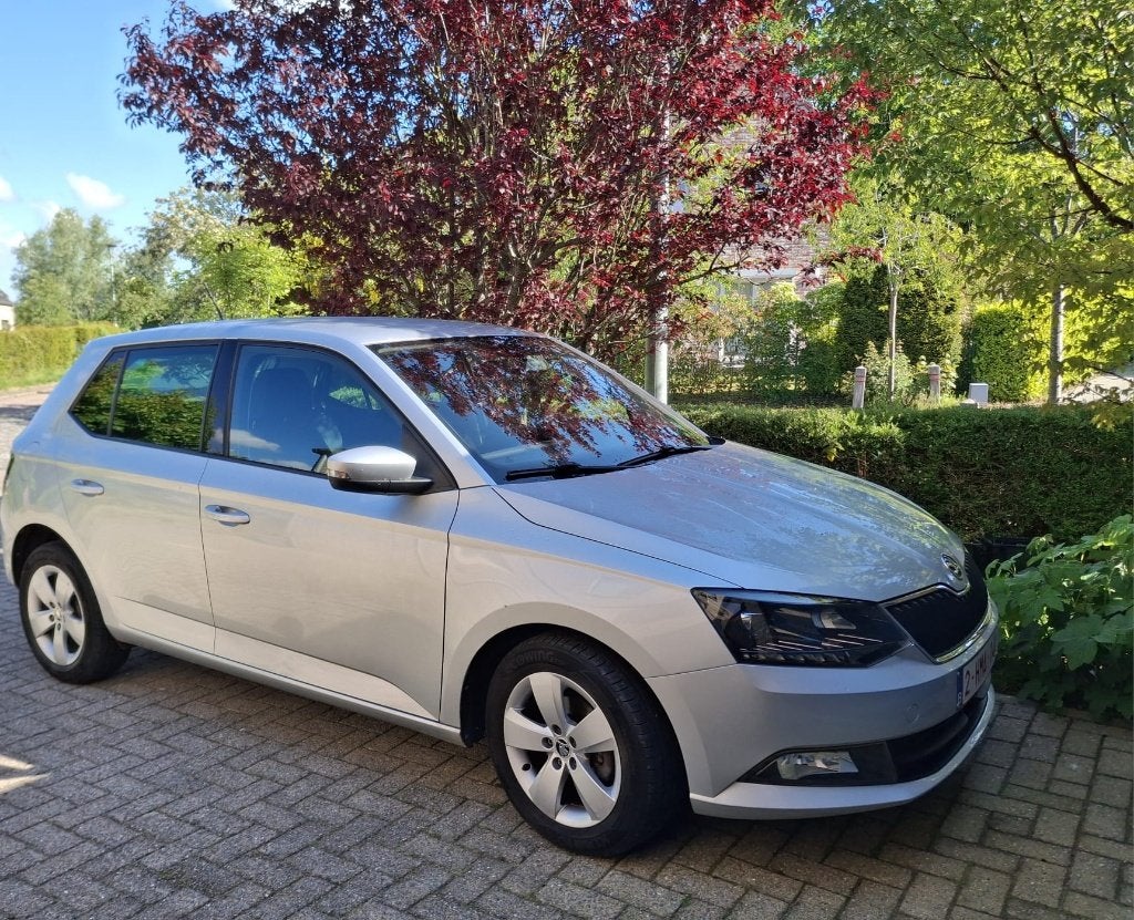 Skoda Fabia 1.0 TSI Ambition, Argent ou Gris, Achat, Euro 6, Boîte manuelle