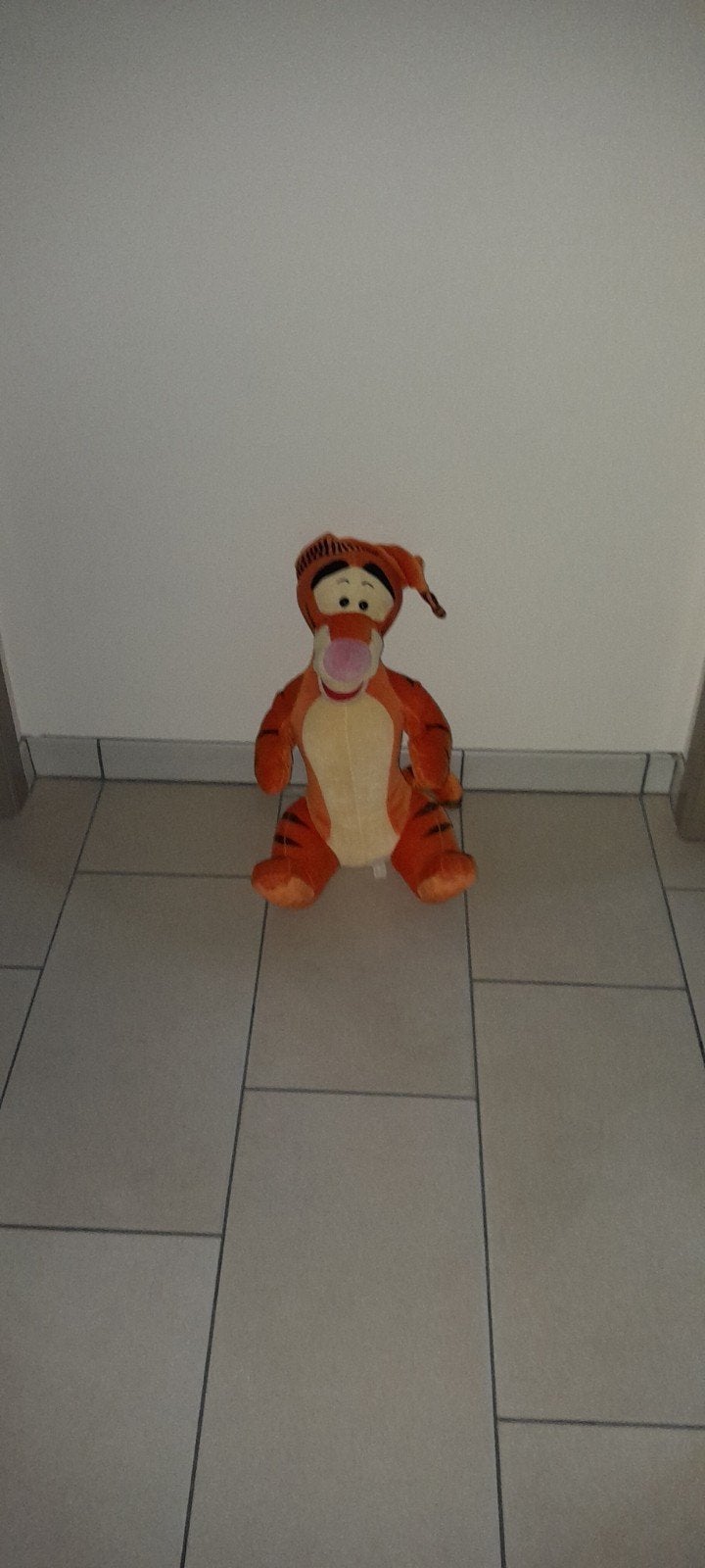 tijgertje, Kinderen en Baby's, Ophalen, Oranje, Disney, Middelgroot (20 tot 80 cm)