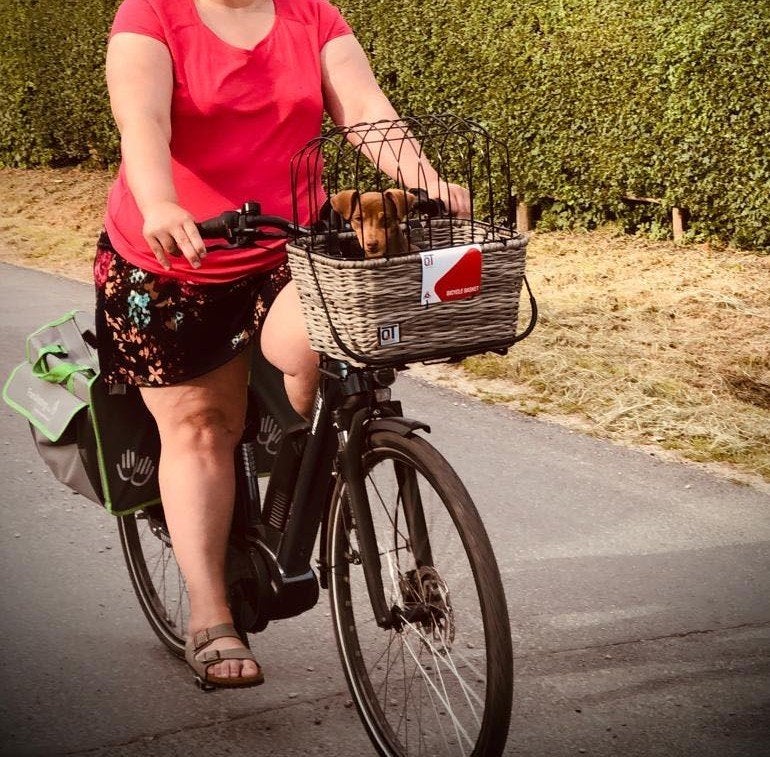 rieten fietsmand met veiligheidskap, Ophalen, Zo goed als nieuw, Fietsmand