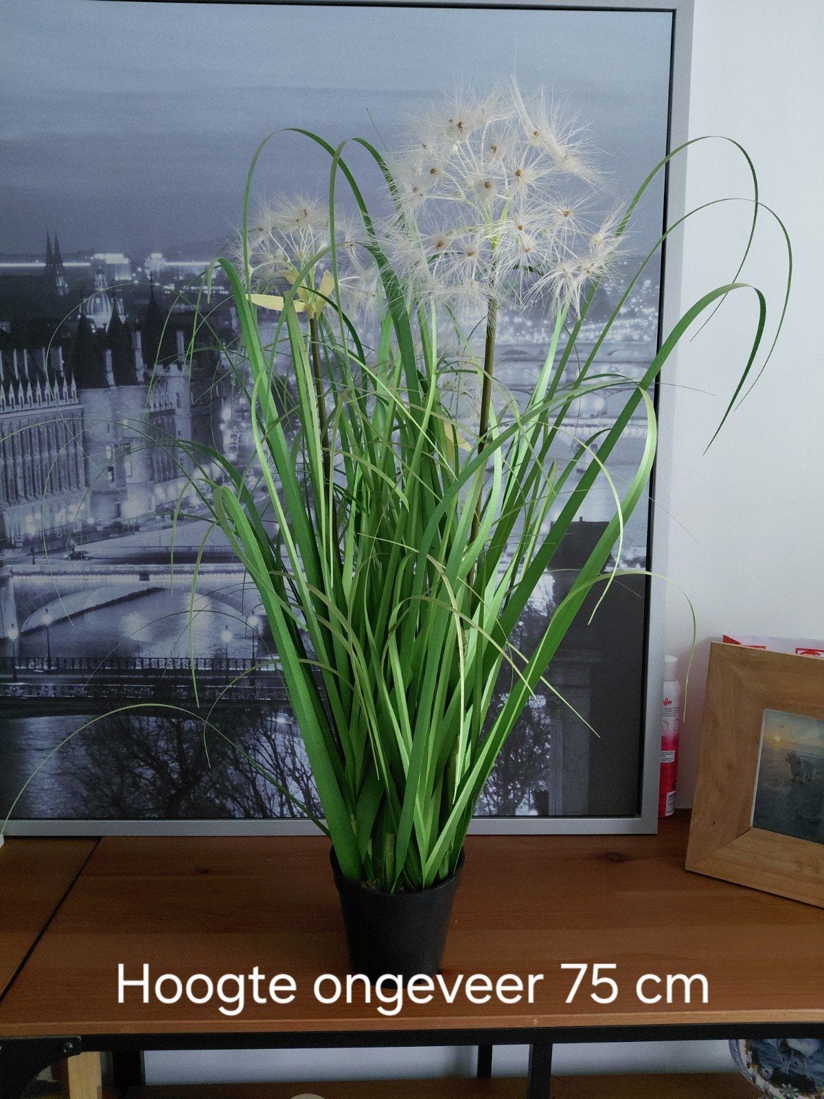 plante artificielle, Maison & Meubles, Accessoires pour la Maison | Plantes & Fleurs artificielles, Plante artificielle, Enlèvement