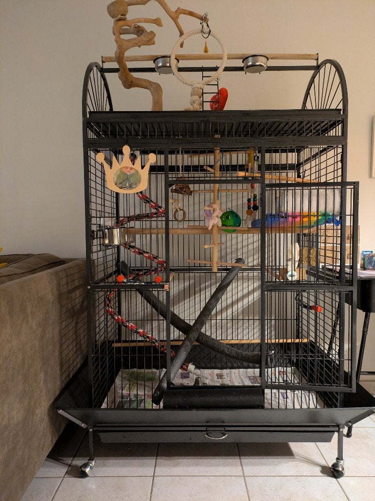 papegaaien-, vogelkooi te koop, Dieren en Toebehoren