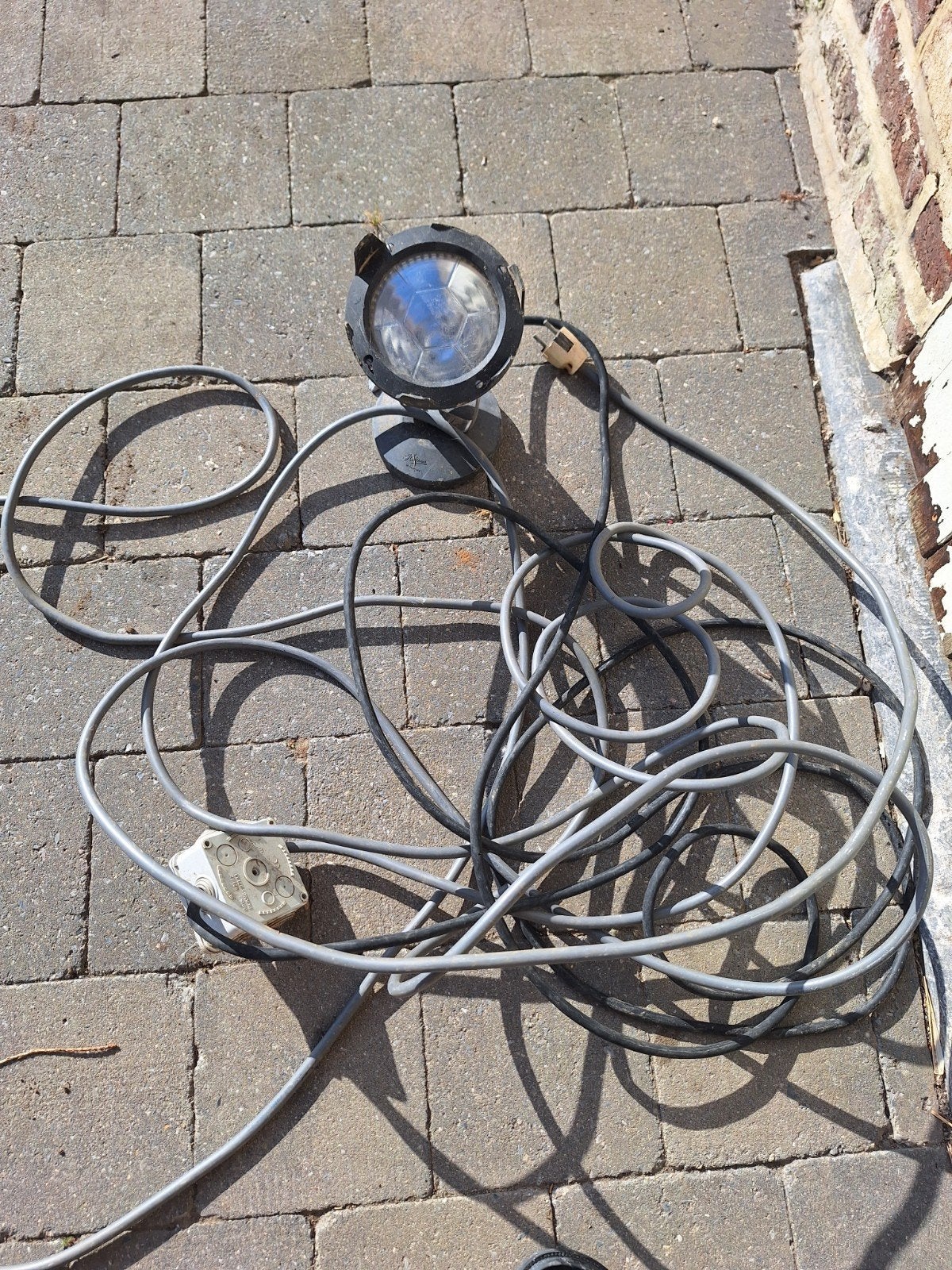 Lamp vijver, Enlèvement