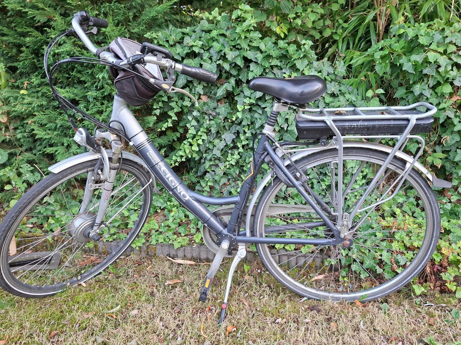 elektrische vrouw fiets, 50 km par batterie ou plus, 59 cm ou plus, Enlèvement, Utilisé