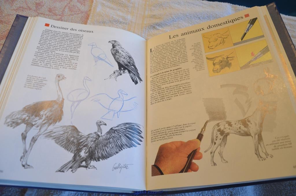 Apprenez à dessiner, Livres, Loisirs & Temps libre, Comme neuf, Enlèvement, Ed ATLAS, Dessin et Peinture