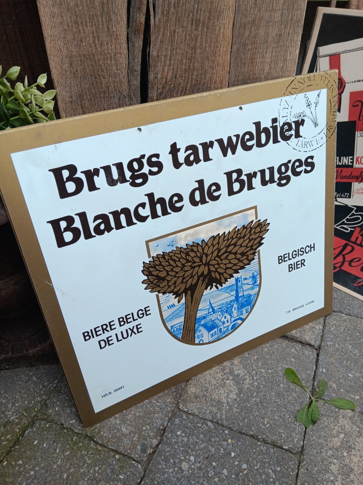 Bière de blé de Bruges, Jardin & Terrasse, Bacs à fleurs & Jardinières, Enlèvement