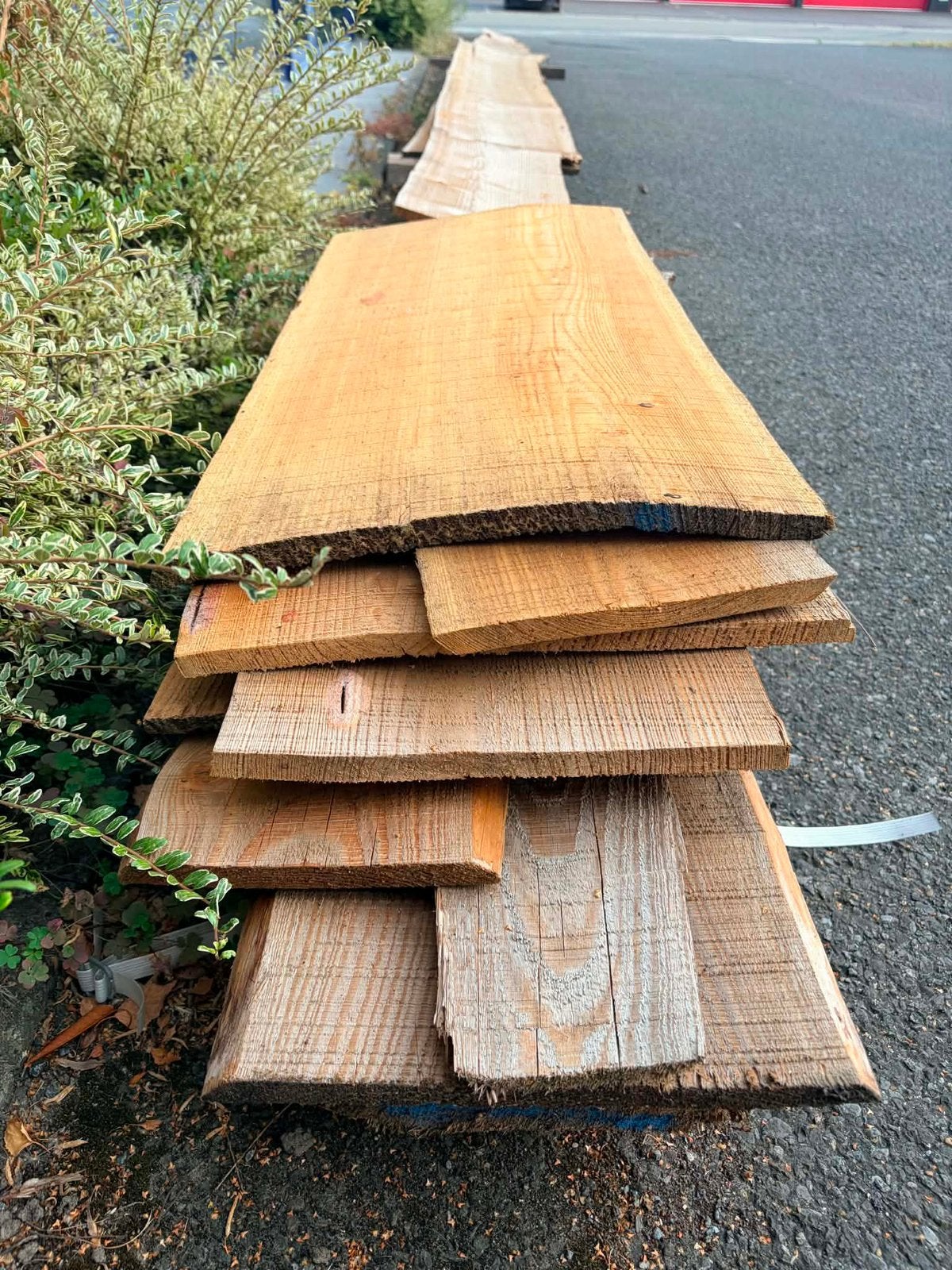 Schaafplanken Larix, Enlèvement, Comme neuf, 250 cm ou plus, Planches