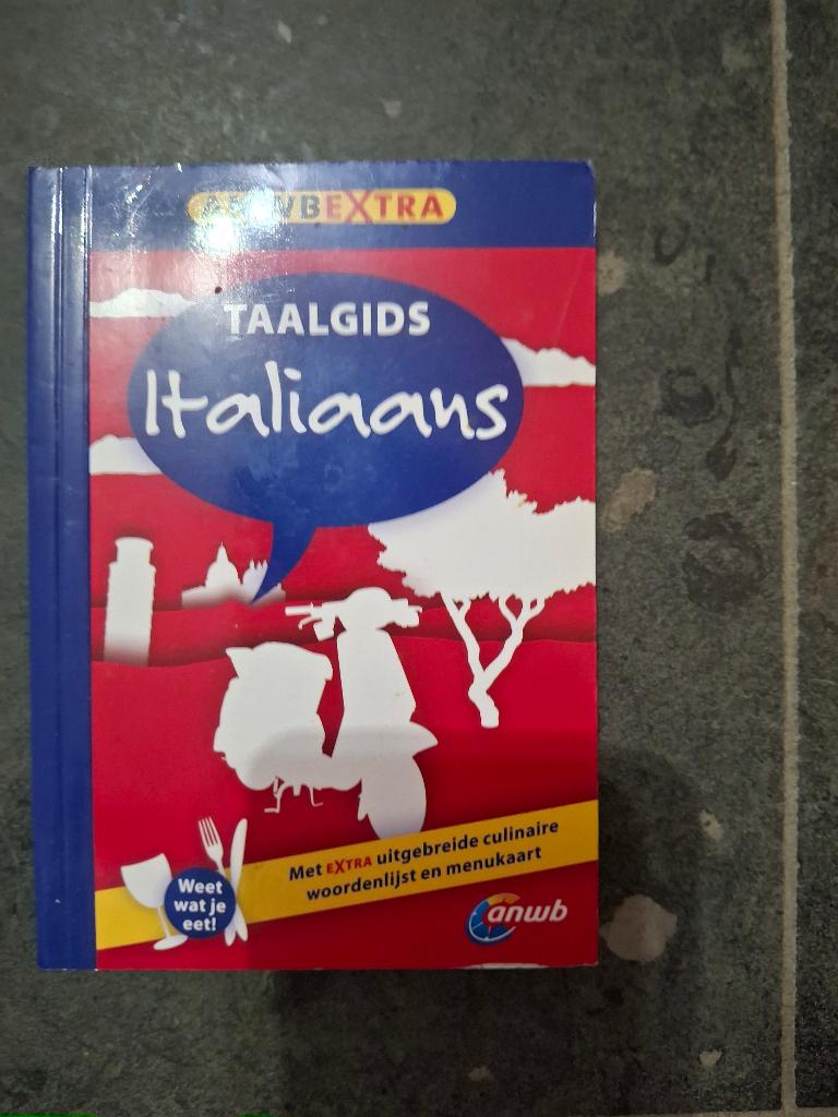 Woordenboek Italiaans, Boeken, Ophalen of Verzenden, Gelezen, Italiaans