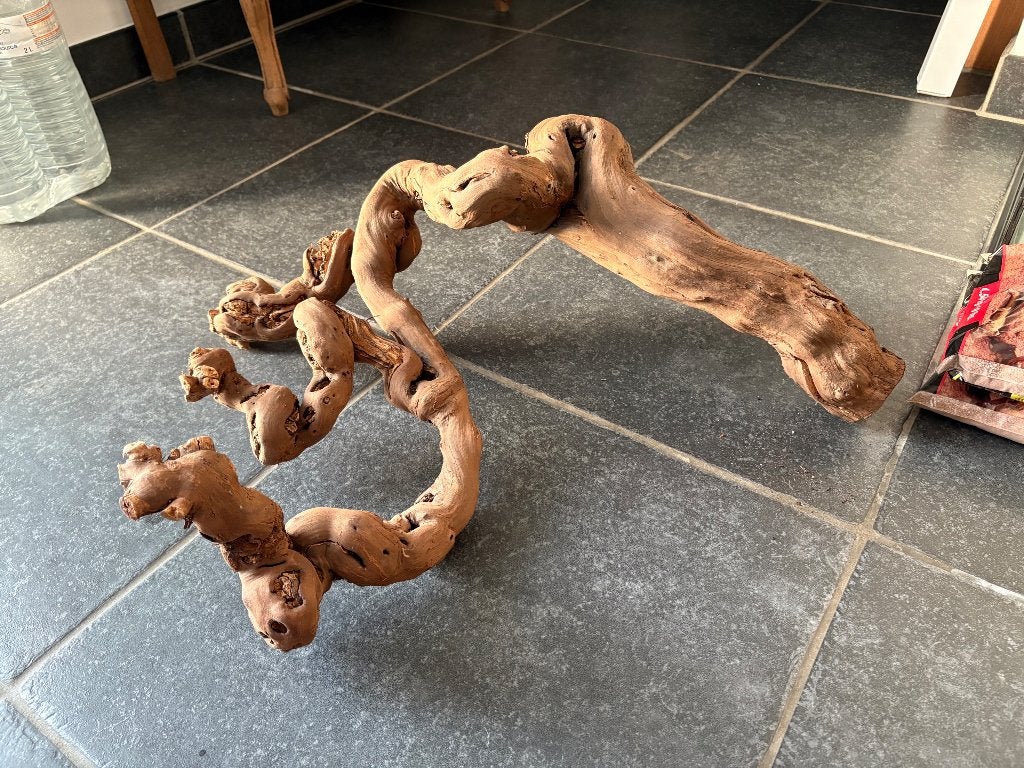 Racine pour aquarium ou terrarium, Enlèvement, Neuf, Branche, Plante, Roche ou Pierre