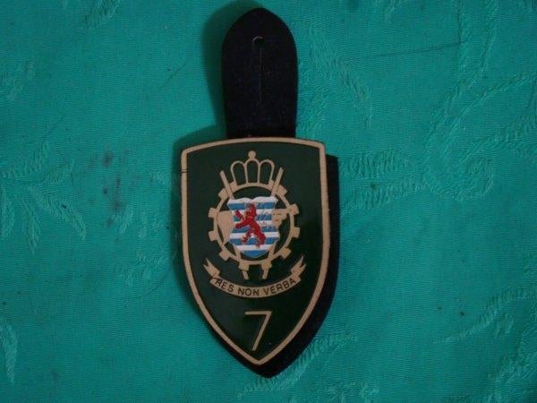 MILITARIA, Ophalen of Verzenden, Landmacht, Embleem of Badge