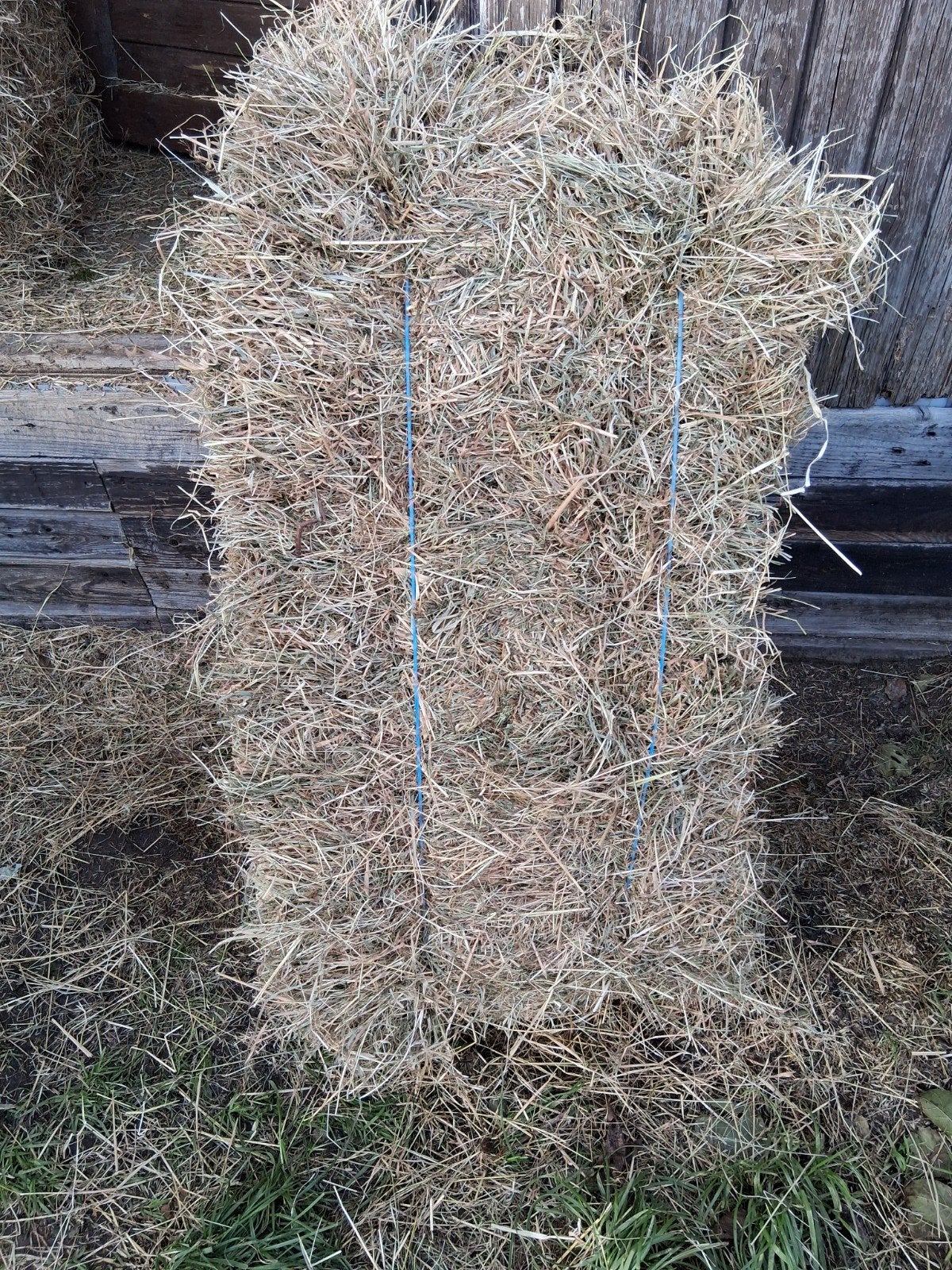 Hooi kleine pakken, Dieren en Toebehoren, Stalling, 1 paard of pony