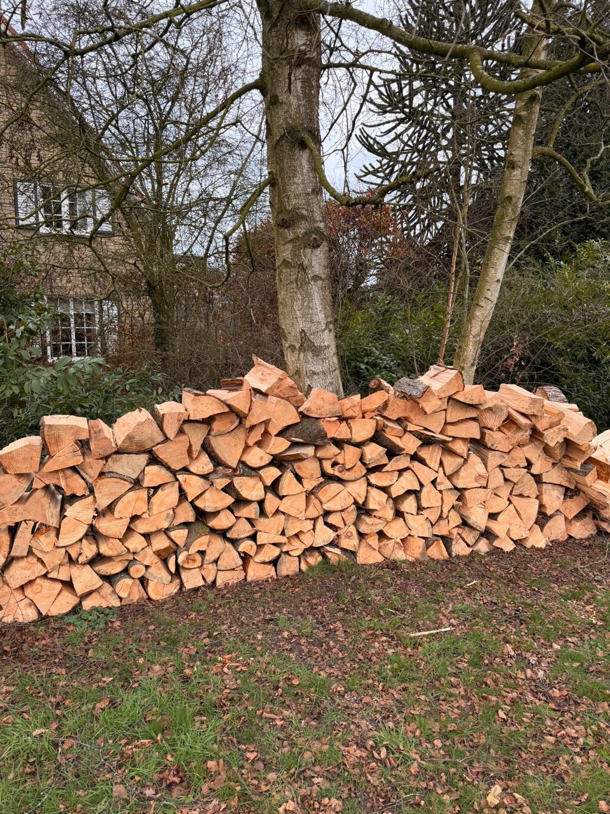 Brandhout in stronken van 40cm - gekliefd en gedroogd, 3 à 6 m³, Enlèvement, Bûches