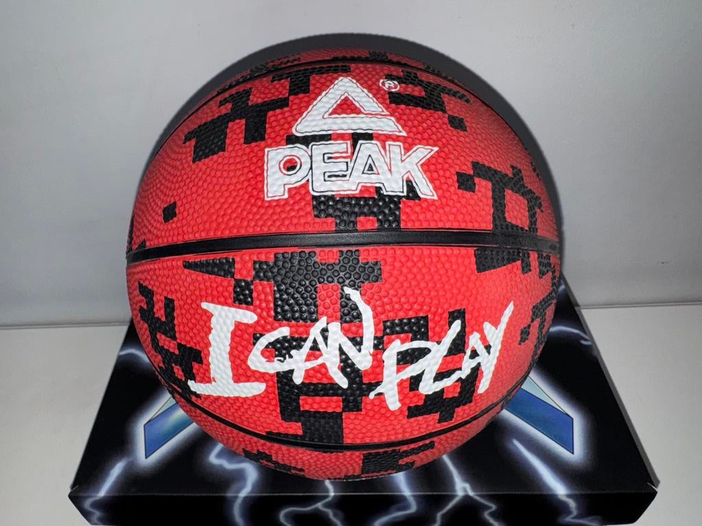 Ballon Basket-ball, Sports & Fitness, Basket, Enlèvement, Ballon