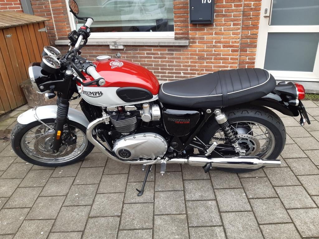 Triumph Bonneville T120 Bud Ekins special edition, Motoren, 2 cilinders, Motorrijbewijs A, Particulier, Meer dan 35 kW