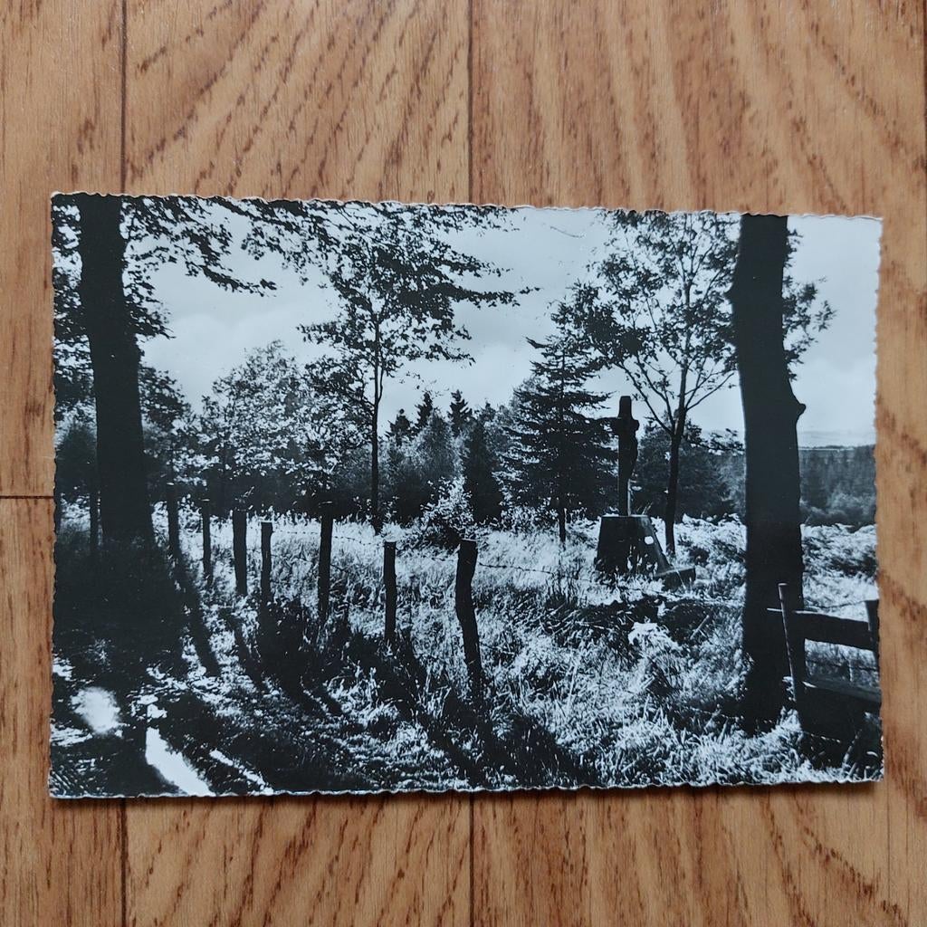 Oude postkaart  La Sapinière Ensival, Enlèvement ou Envoi