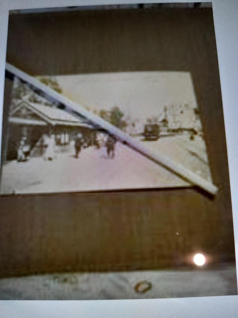 Vue de Blankenberge - Station - Le park, Enlèvement ou Envoi, 1940 à 1960, Non affranchie, Flandre Occidentale