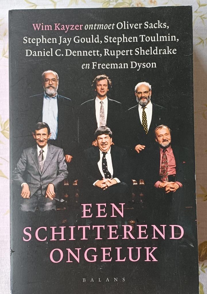 Een Schitterend Ongeluk - Wim Kayzer, Boeken, Ophalen of Verzenden, Zo goed als nieuw, Wim Kayzer