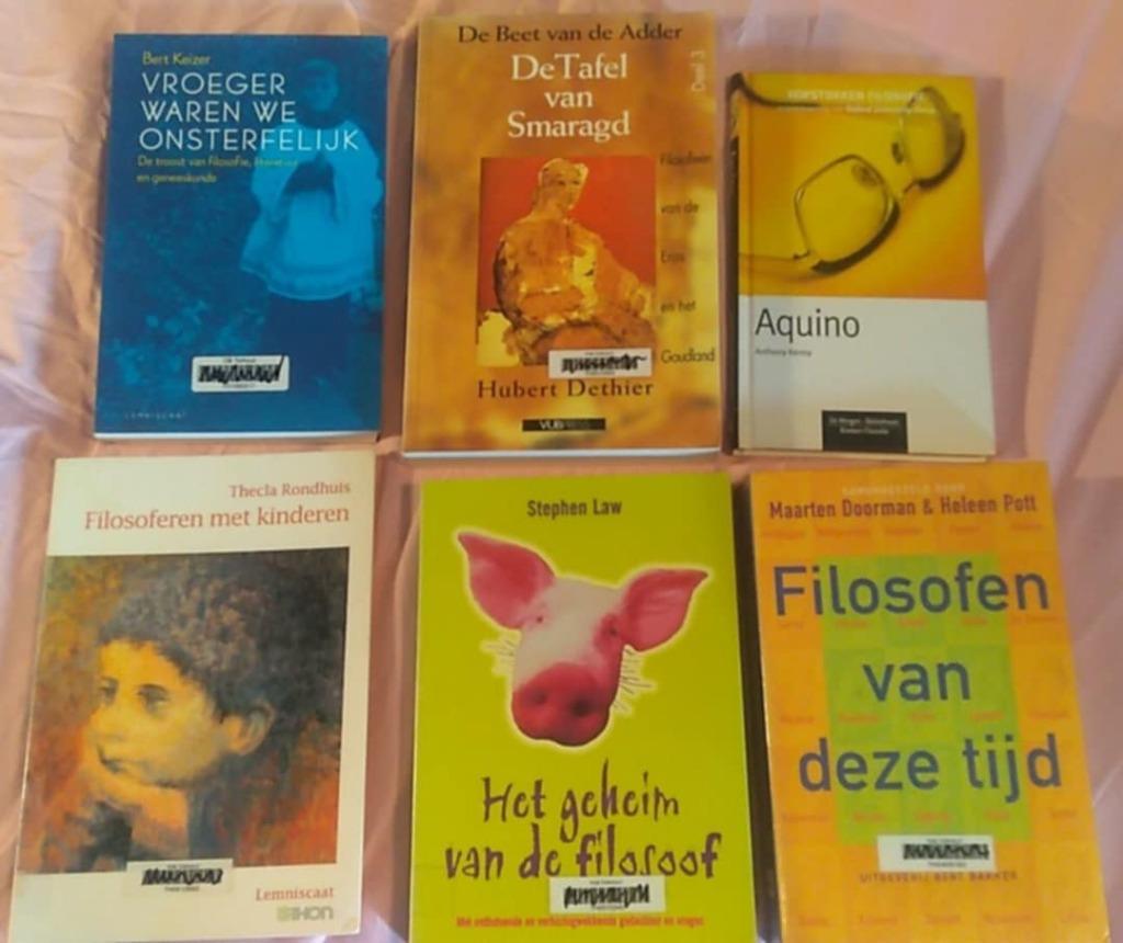 filosofie boeken, Livres, Philosophie, Enlèvement ou Envoi