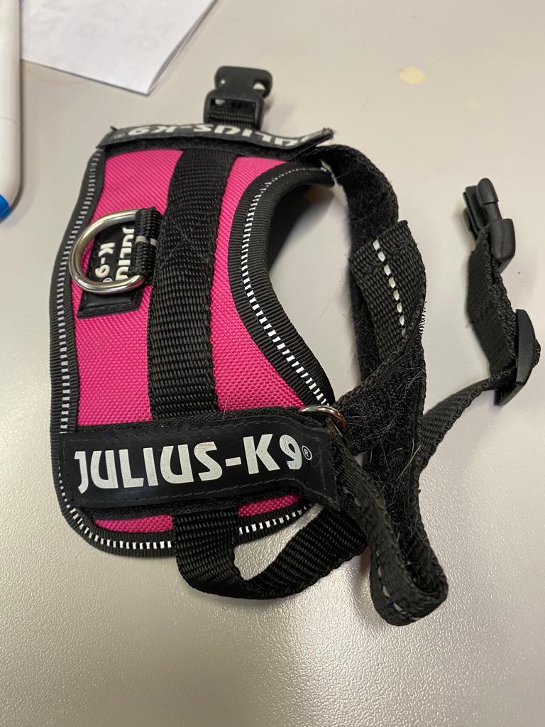 hondenharnas tuigje julius K9, Enlèvement ou Envoi, Comme neuf