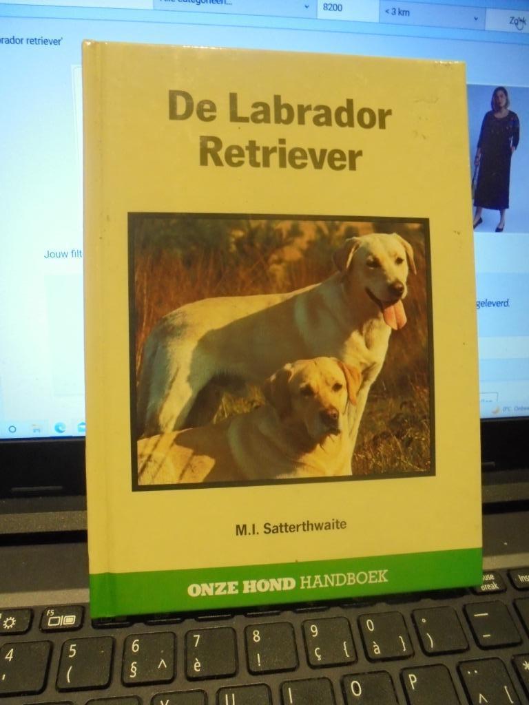de labrador retriever, Ophalen of Verzenden, Gelezen, Honden