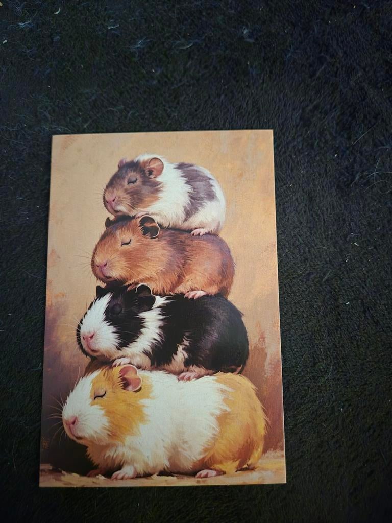 Postkaart cavia's, Enlèvement ou Envoi