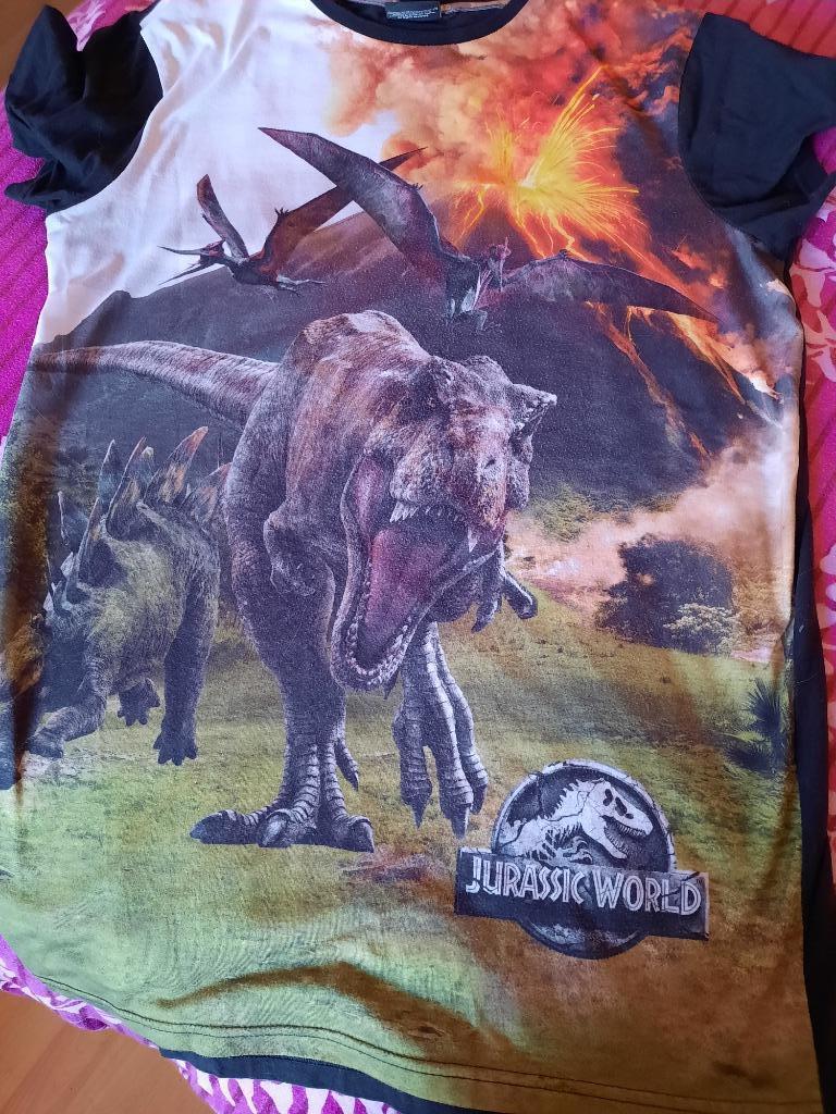 T-shirt Jurassic World, maat 14-15 jaar, Ophalen of Verzenden, Zo goed als nieuw, Jongen, Shirt of Longsleeve