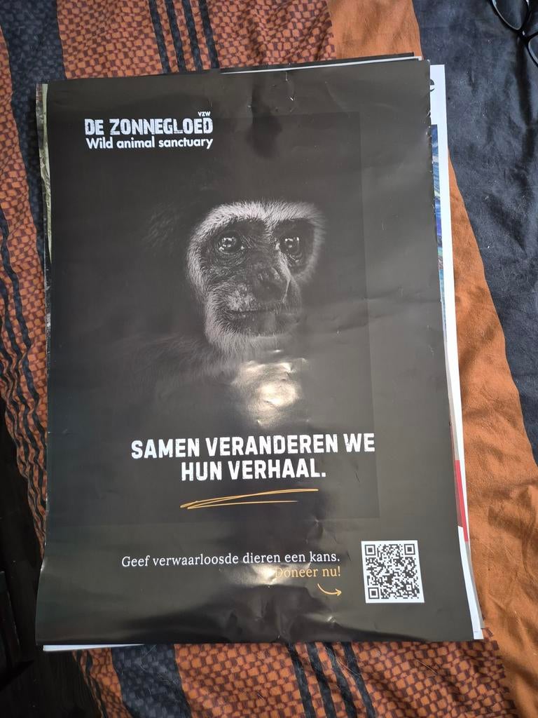 Poster affiche witwang gibbon, Verzenden