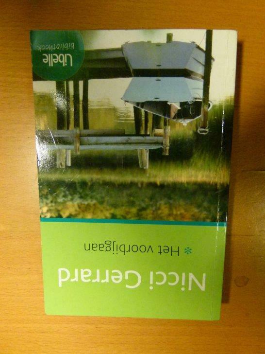 Het voorbijgaan - Nicci Gerrard, Boeken, Ophalen of Verzenden, Gelezen