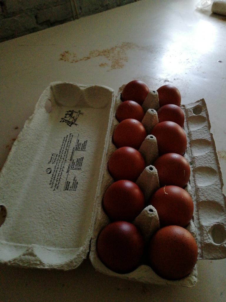 Zeer donkere eieren van Marans te koop aangeboden