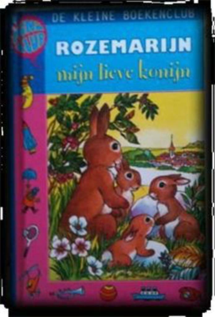Rozemarijn mijn lieve konijn, Ophalen of Verzenden, Gelezen, Fictie algemeen
