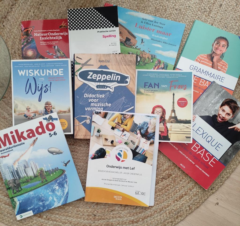Boeken lesmateriaal lager onderwijs Wijs, Zeppelin, Mikado, Boeken, Ophalen of Verzenden, Zo goed als nieuw, Hogeschool