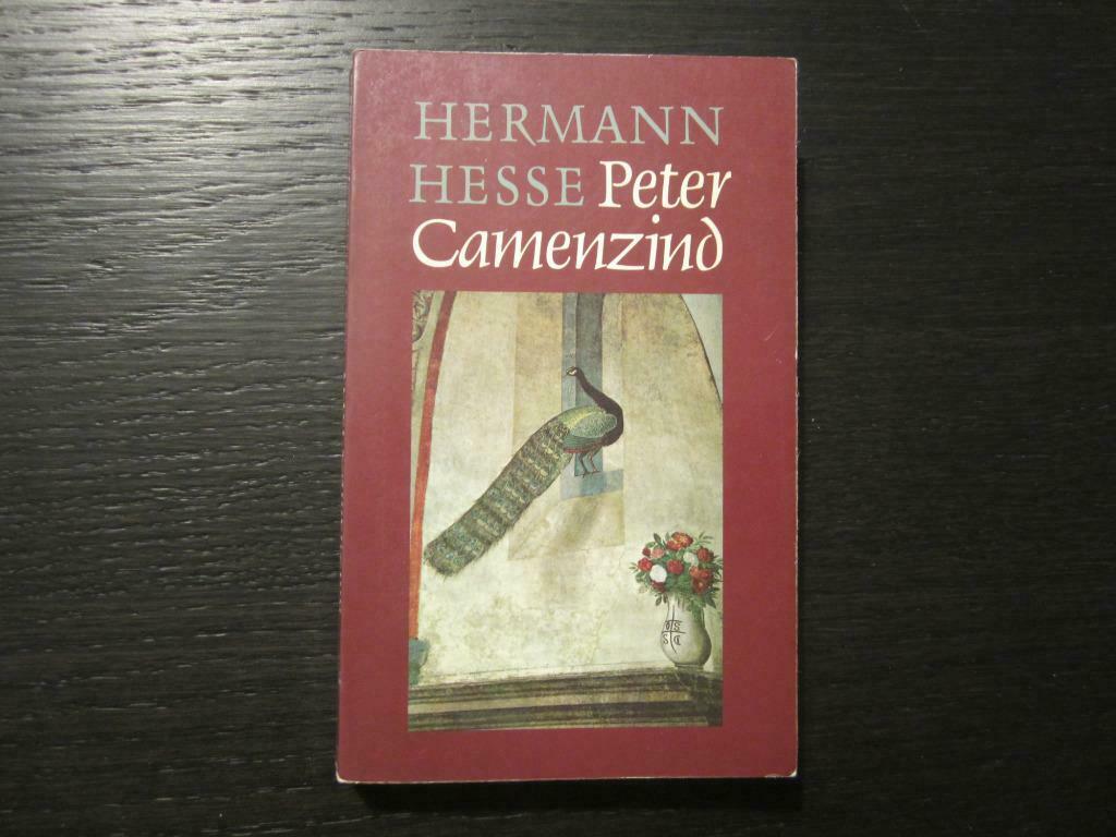 Peter Camenzind  -Hermann Hesse-, Boeken, Literatuur, Ophalen of Verzenden