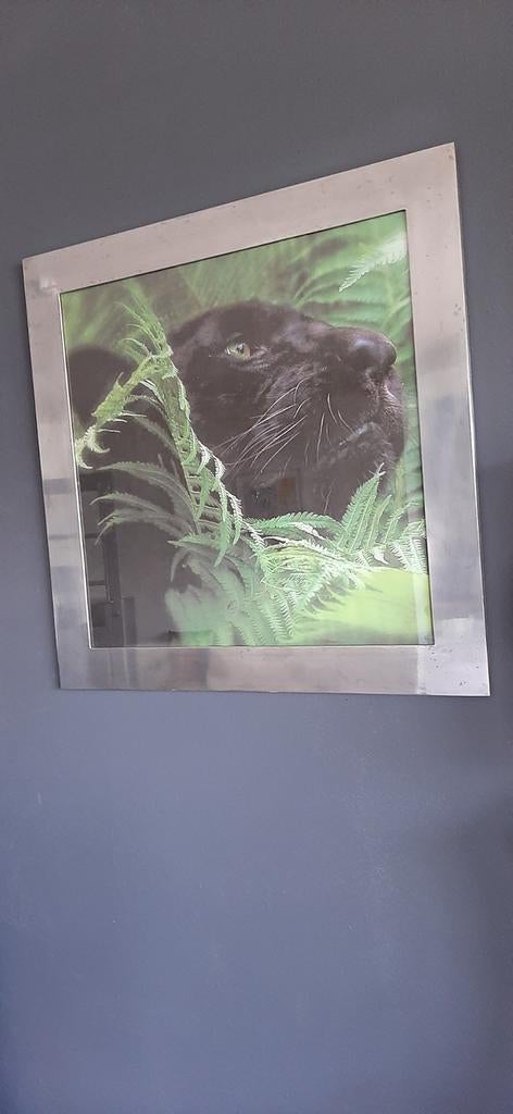 Prachtig decoratief kader met zwarte panter, Ophalen, Zo goed als nieuw