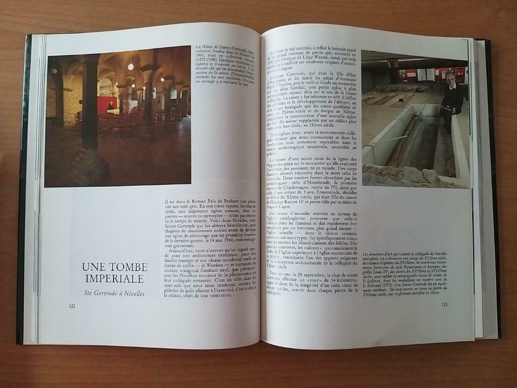 Mysterieus en ongewoon België, Ophalen of Verzenden, 20e eeuw of later, Zo goed als nieuw