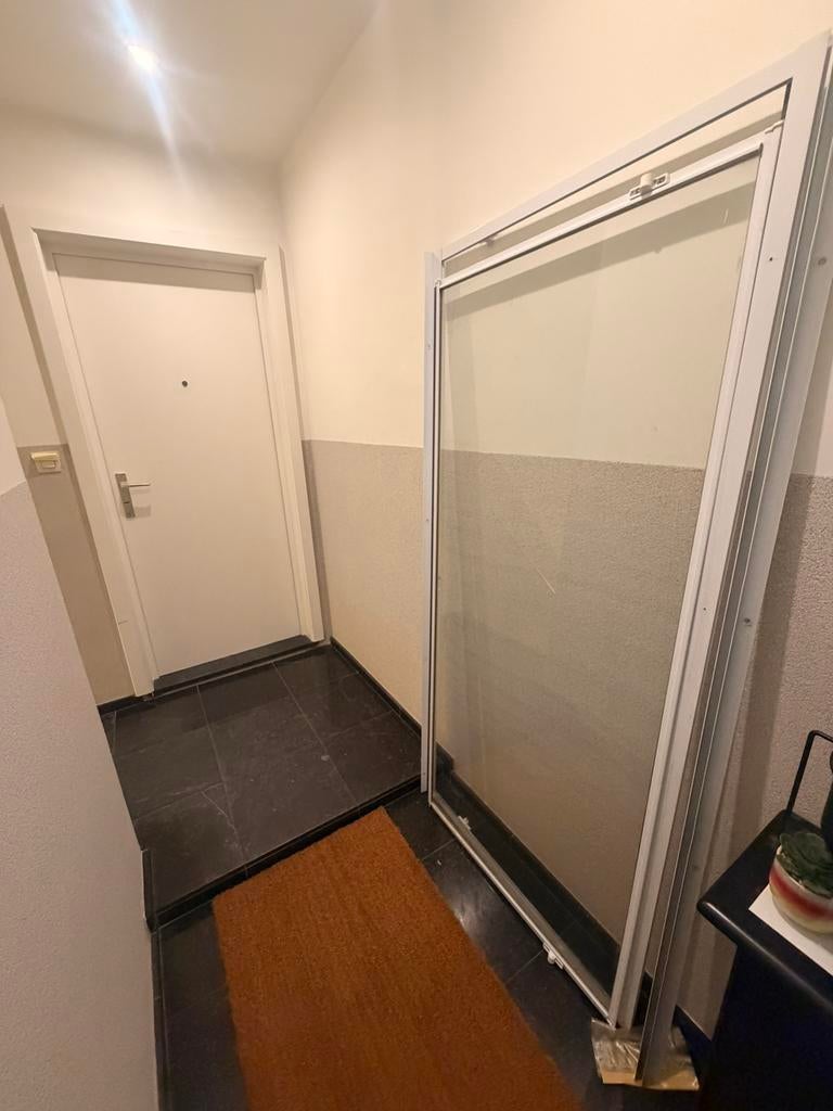 Douchedeur, Doe-het-zelf en Bouw, Ophalen, Douche