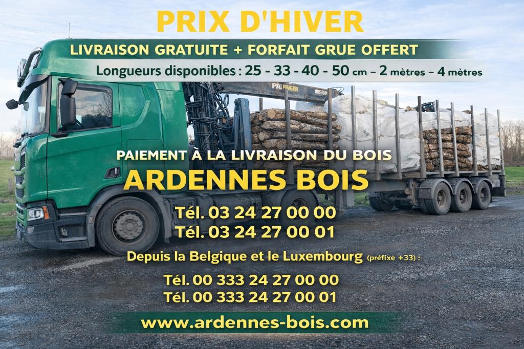 Bois de chauffage en longueur de 33 cm - Autres longueurs, Envoi, Hêtre